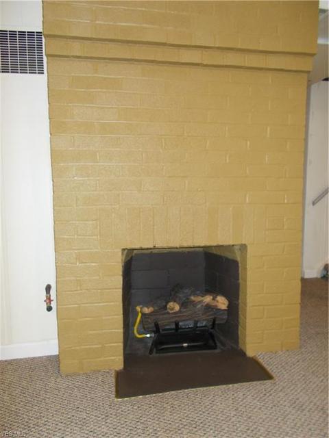623 Cambridge Ave, Elyria, OH 44035 photo 23