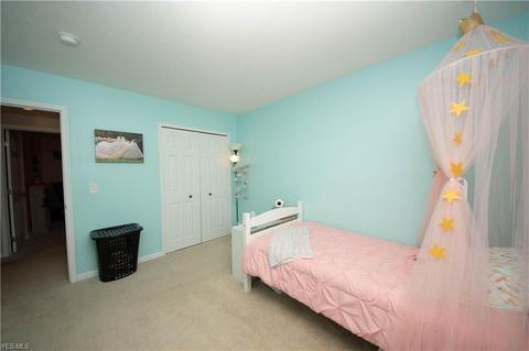 355 Springbrook Cir, Elyria, OH 44035 photo 22