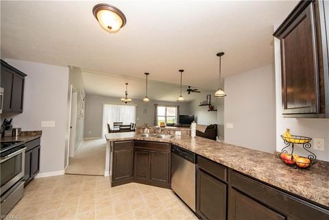 355 Springbrook Cir, Elyria, OH 44035 photo 14