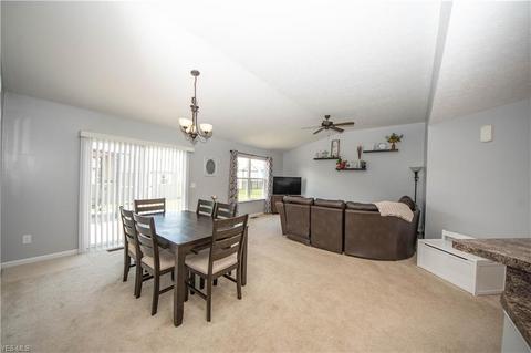 355 Springbrook Cir, Elyria, OH 44035 photo 19