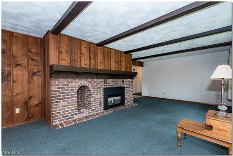 43305 Dellefield Rd, Elyria, OH 44035 photo 5