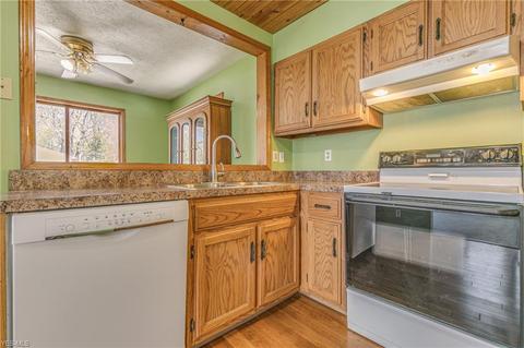 141 E Walnut Ave, Painesville, OH 44077 photo 14