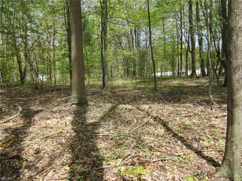 8540 Willow Ln, Hambden, OH 44024 photo 14