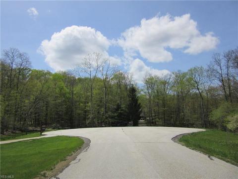 8540 Willow Ln, Hambden, OH 44024 photo 2