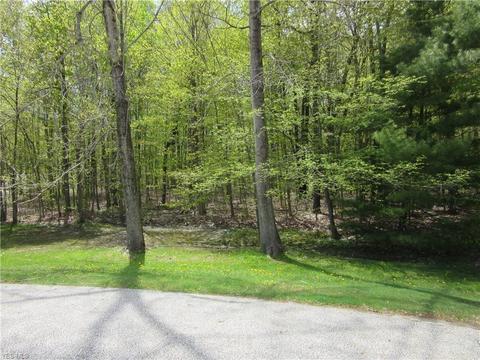 8540 Willow Ln, Hambden, OH 44024 photo 11