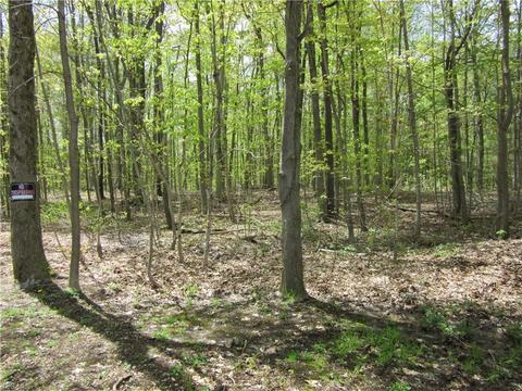 8540 Willow Ln, Hambden, OH 44024 photo 12