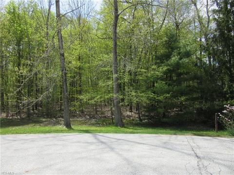 8540 Willow Ln, Hambden, OH 44024 photo 3