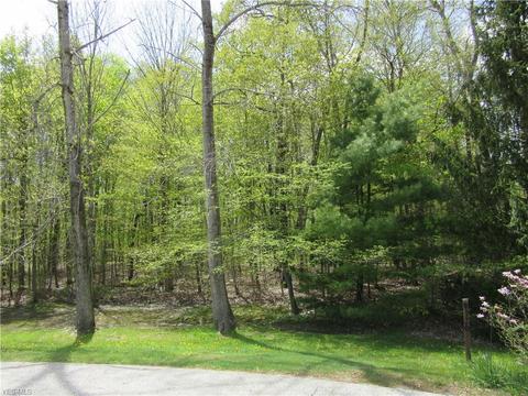 8540 Willow Ln, Hambden, OH 44024 photo 1
