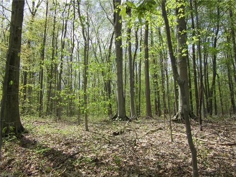 8540 Willow Ln, Hambden, OH 44024 photo 16