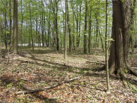 8540 Willow Ln, Hambden, OH 44024 photo 6