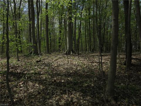 8540 Willow Ln, Hambden, OH 44024 photo 21