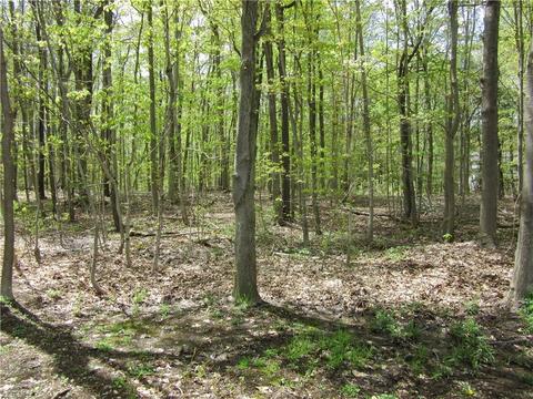 8540 Willow Ln, Hambden, OH 44024 photo 4