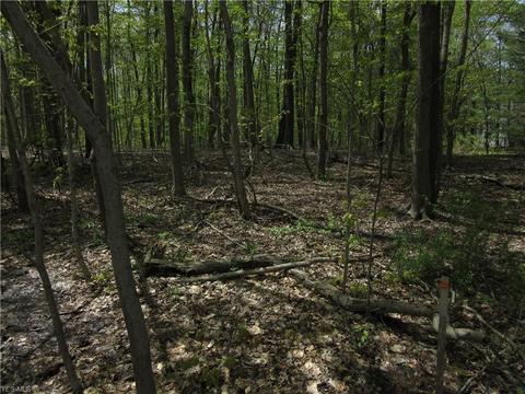 8540 Willow Ln, Hambden, OH 44024 photo 19