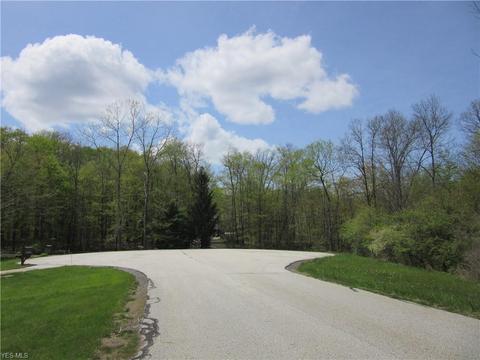 8540 Willow Ln, Hambden, OH 44024 photo 8