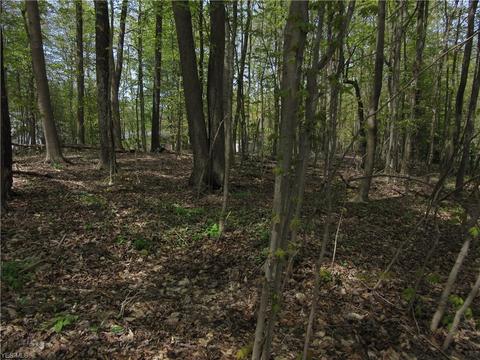 8540 Willow Ln, Hambden, OH 44024 photo 15