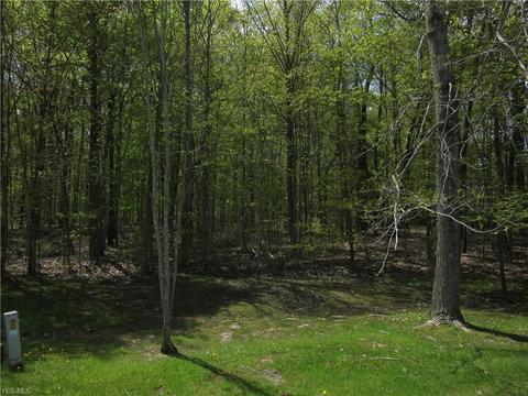 8540 Willow Ln, Hambden, OH 44024 photo 22