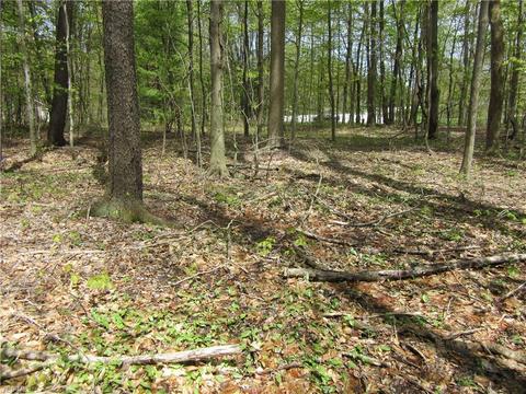 8540 Willow Ln, Hambden, OH 44024 photo 5