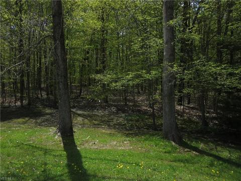8540 Willow Ln, Hambden, OH 44024 photo 18