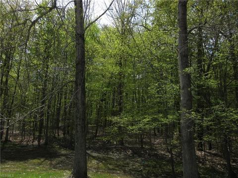 8540 Willow Ln, Hambden, OH 44024 photo 20