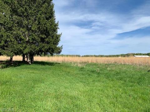 3242 Pinney Topper Rd, Ashtabula, OH 44004 photo 8