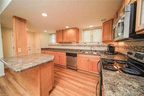 3671 Fox Run Dr, Saybrook, OH 44004 photo 2