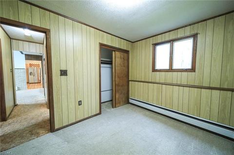 3671 Fox Run Dr, Saybrook, OH 44004 photo 13