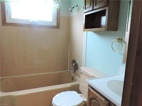 39687 Carol Ln, Elyria, OH 44035 photo 13