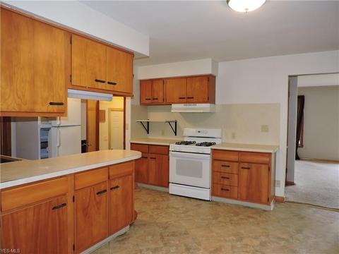 39687 Carol Ln, Elyria, OH 44035 photo 4