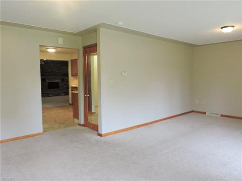 39687 Carol Ln, Elyria, OH 44035 photo 21