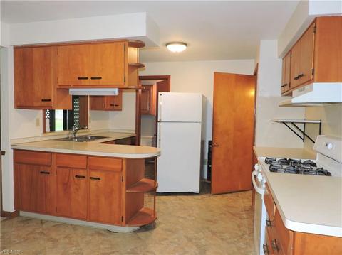 39687 Carol Ln, Elyria, OH 44035 photo 23