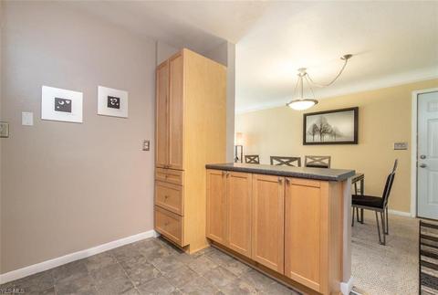 1255 Blanchester Rd, Lyndhurst, OH 44124 photo 13