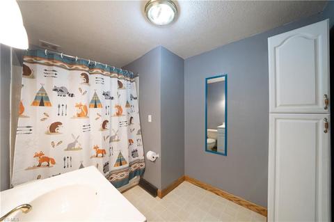 4225 Hattrick Rd, Rootstown, OH 44272 photo 14