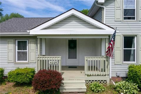 4225 Hattrick Rd, Rootstown, OH 44272 photo 24