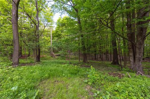 5705 E Sprague Rd, Independence, OH 44131 photo 32