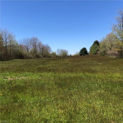 3506 State Route 183, Rootstown, OH 44272 photo 5