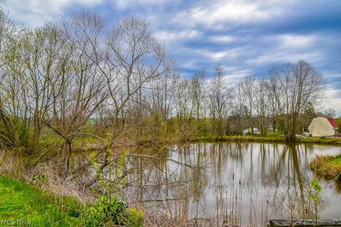 4099 Porter Rd, Rootstown, OH 44272 photo 29