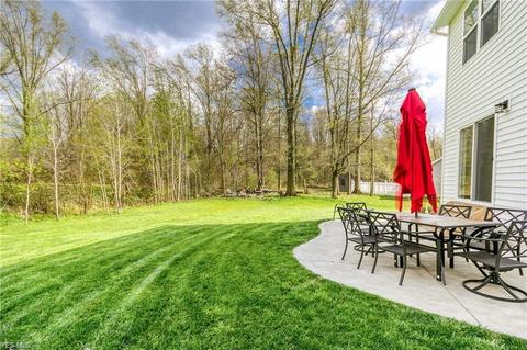 4396 Shannon Dr, Rootstown, OH 44272 photo 31