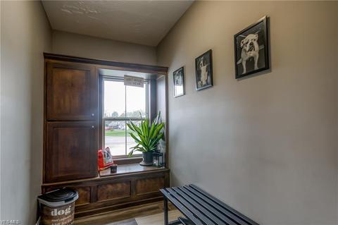 4396 Shannon Dr, Rootstown, OH 44272 photo 20