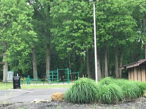 561 Case Ave, Elyria, OH 44035 photo 31