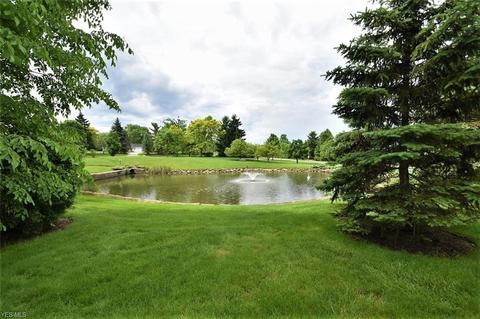 900 Hampton Cir # -3, Aurora, OH 44202 photo 34