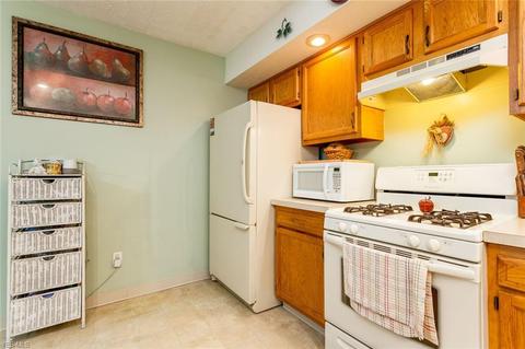 307 Root Rd, Lorain, OH 44052 photo 10