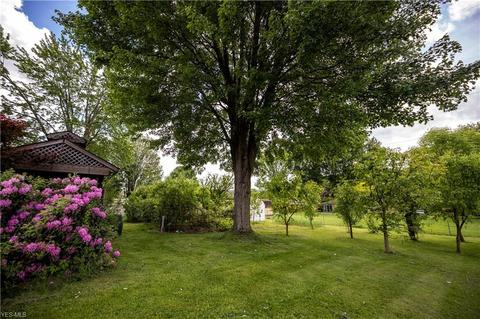 1565 Roosevelt Ave, Niles, OH 44446 photo 15