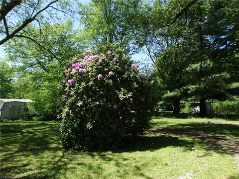 8029 Center Rd, Ashtabula, OH 44004 photo 15