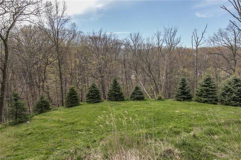 7600 Ridge Rd, Parma, OH 44129 photo 34