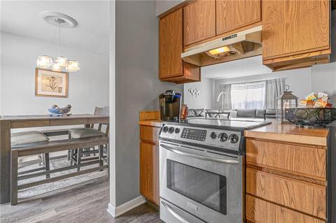 9821 Stratton Ct, Mentor, OH 44060 photo 8