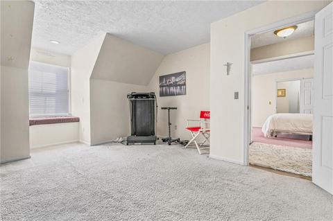9821 Stratton Ct, Mentor, OH 44060 photo 16