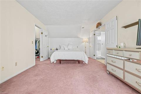 9821 Stratton Ct, Mentor, OH 44060 photo 17