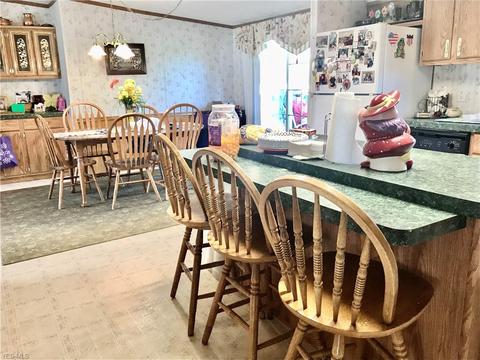 8868 Nichols Rd, Windham, OH 44288 photo 8