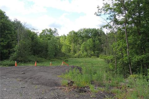 11550 Chamberlain Rd, Aurora, OH 44202 photo 20