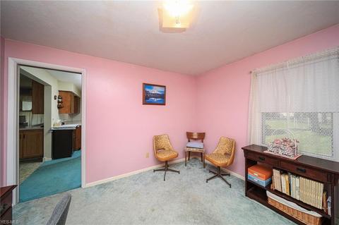 316 E 280th St, Euclid, OH 44132 photo 13